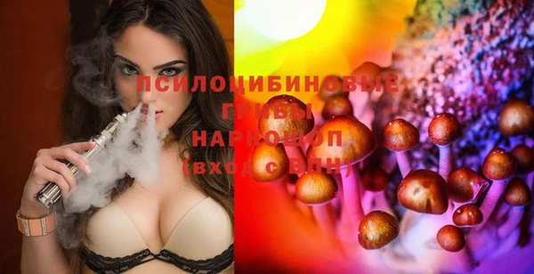 прущая мука Магас