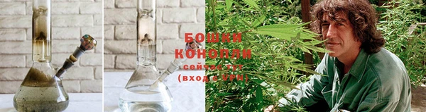 молекула духа Майский